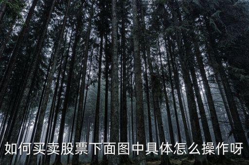 股東代碼怎么輸入,第五步:找一個模擬炒股游戲體驗(yàn)股市風(fēng)險(xiǎn)