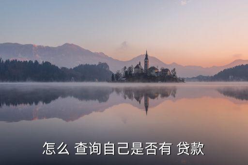 兵裝財(cái)務(wù)怎么查詢貸款,如何申請個(gè)人貸款?