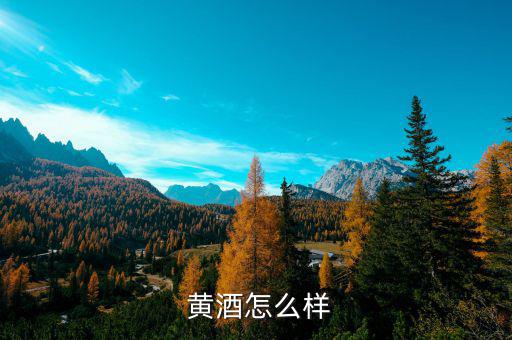 白塔黃酒怎么樣,陳黃灑、黃精統(tǒng)稱為什么?