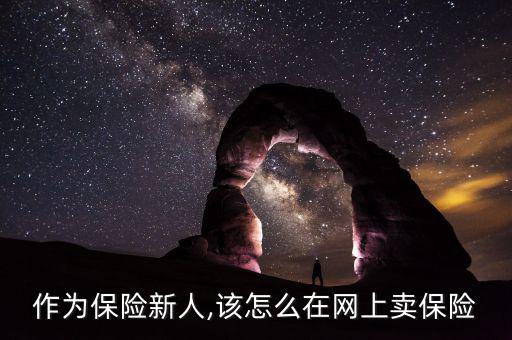 怎么通過(guò)網(wǎng)絡(luò)銷售保險(xiǎn)