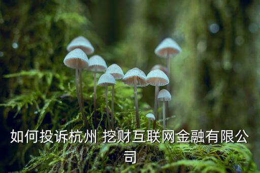 如何投訴杭州 挖財互聯(lián)網金融有限公司