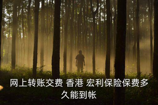 網(wǎng)上轉(zhuǎn)賬交費(fèi) 香港 宏利保險保費(fèi)多久能到帳