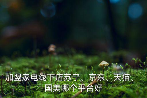 加盟家電線下店蘇寧、京東、天貓、 國美哪個平臺好