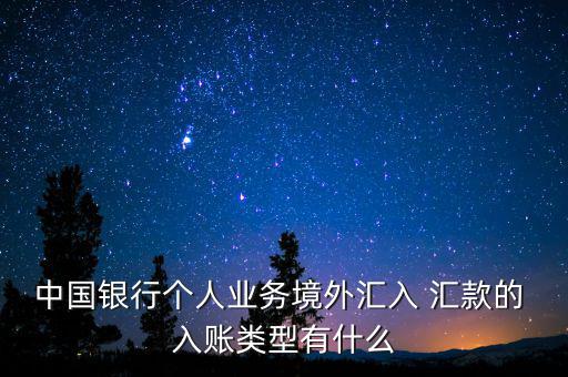 中國(guó)銀行個(gè)人業(yè)務(wù)境外匯入 匯款的 入賬類(lèi)型有什么