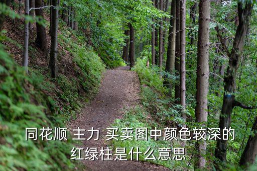 同花順主力買(mǎi)賣怎么看,主力買(mǎi)賣指示器如何顯示