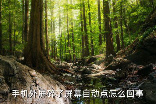 手機(jī)外屏碎了屏幕自動點(diǎn)怎么回事