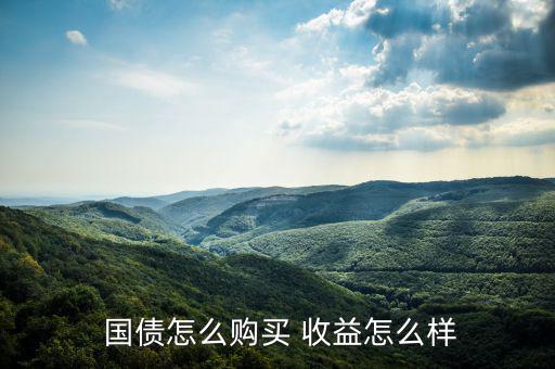  國(guó)債怎么購(gòu)買 收益怎么樣