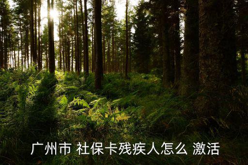  廣州市 社?？埣踩嗽趺?激活