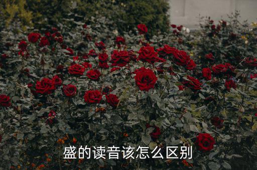 嘉盛中心的盛怎么讀,盛會、豐盛、茂盛、盛大等五個漢字