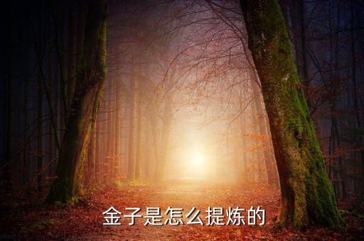 金子底怎么寫,金衡盎司的價格如何計(jì)算?