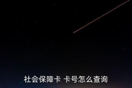 怎么找社?？ㄌ?hào),如何查詢社保賬號(hào)?一文看懂