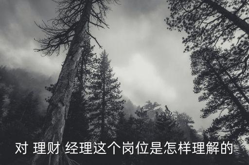 對 理財(cái) 經(jīng)理這個(gè)崗位是怎樣理解的