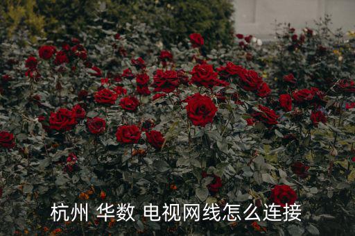 杭州 華數(shù) 電視網線怎么連接