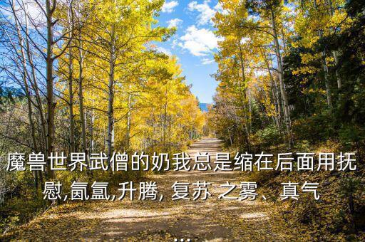 魔獸世界武僧的奶我總是縮在后面用撫慰,氤氳,升騰, 復(fù)蘇 之霧、真氣...