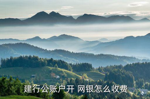 建行公司網(wǎng)銀怎么續(xù)費,建行網(wǎng)銀服務(wù)收費標準如下