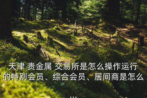 天津 貴金屬 交易所是怎么操作運(yùn)行的特別會(huì)員、綜合會(huì)員、居間商是怎么...