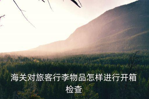  海關(guān)對(duì)旅客行李物品怎樣進(jìn)行開(kāi)箱 檢查