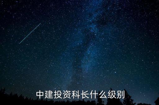  中建投資科長什么級(jí)別