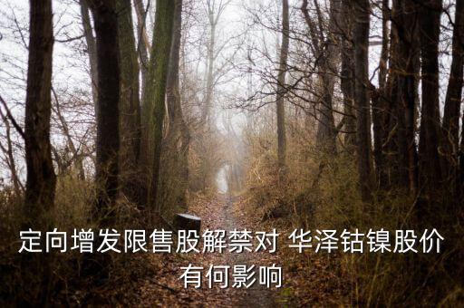 華澤鈷鎳怎么樣,鎳礦概念股:吉恩鎳業(yè)、華澤鈷鎳、恒順電氣