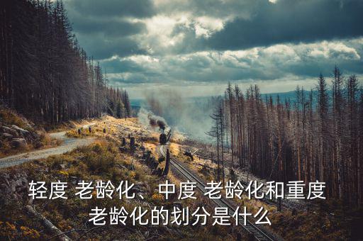 輕度 老齡化、中度 老齡化和重度 老齡化的劃分是什么