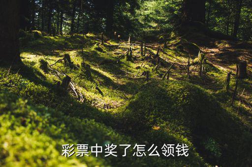 中億元大獎(jiǎng)怎么領(lǐng)取,中獎(jiǎng)彩票可在體育彩票銷(xiāo)售點(diǎn)兌獎(jiǎng)
