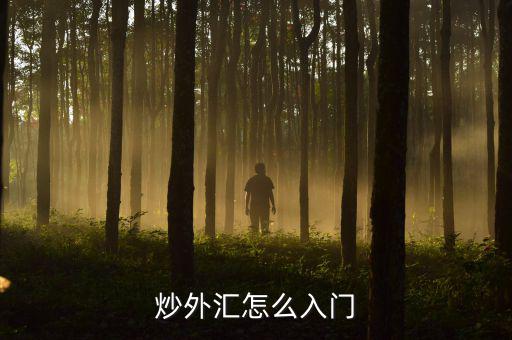 泛融9月怎么出金,正規(guī)平臺怎么選，怎么學入門?