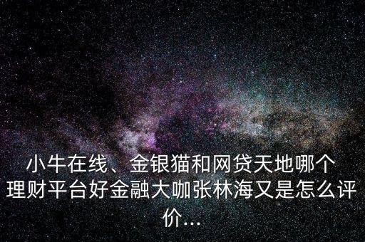  小牛在線、金銀貓和網(wǎng)貸天地哪個 理財平臺好金融大咖張林海又是怎么評價...