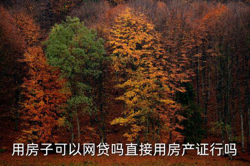 用房子可以網貸嗎直接用房產證行嗎