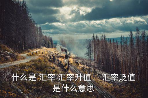 什么是 匯率 匯率升值、 匯率貶值是什么意思