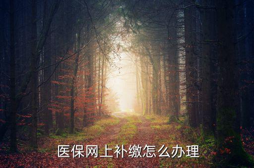 怎么補交醫(yī)保,因個人原因斷了社?？缮暾埞緸樽约豪U納費用