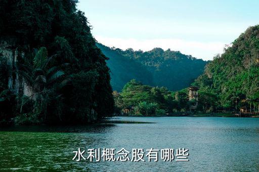 安徽水利股票怎么樣,水利股份、證券股龍頭股名單出爐