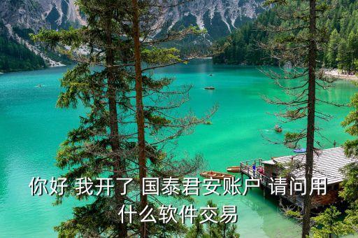 什么軟件金點(diǎn)子與國(guó)泰君安可共用，金太陽(yáng)炒股軟件可以用國(guó)泰君安的帳號(hào)嗎
