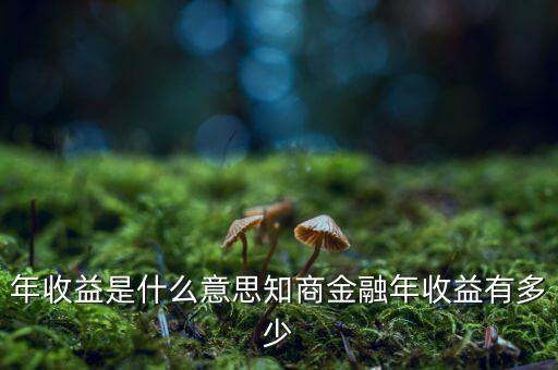 資金占用年收益是什么意思，利息支出中有個(gè)資金占用費(fèi)這個(gè)是什么意思