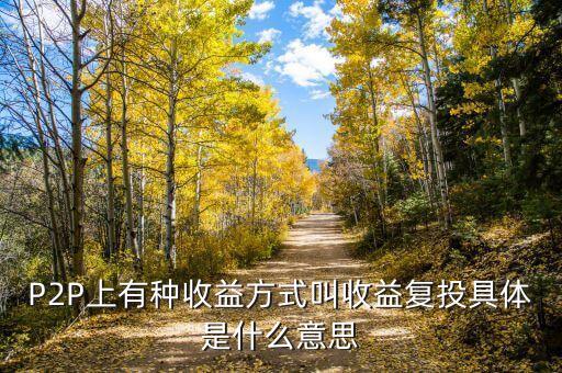 收益再投資什么意思，P2P上有種收益方式叫收益復(fù)投具體是什么意思