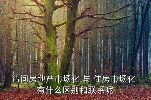 什么是房地產(chǎn)市場化，房地產(chǎn)市場分化甚么意思
