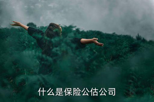 什么是承保公估，保險(xiǎn)中的公估是什么概念