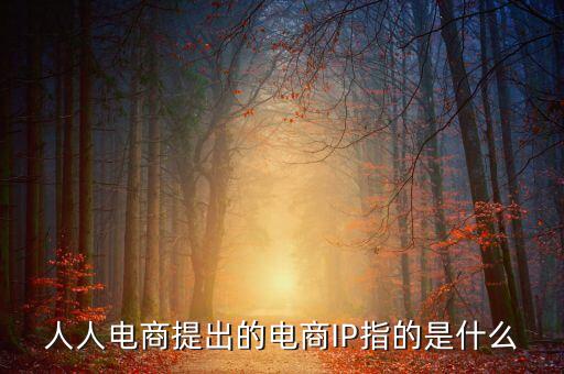 什么是ip經(jīng)濟(jì)，人人電商提出的電商IP指的是什么