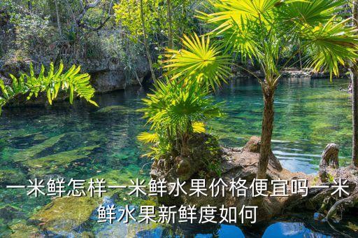 一米鮮為什么做垮了，一米鮮主要是做什么銷售誰能告訴我