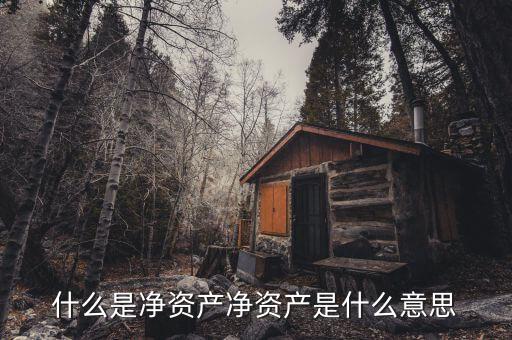 什么是凈資產(chǎn)，什么是凈資產(chǎn)凈資產(chǎn)是什么意思
