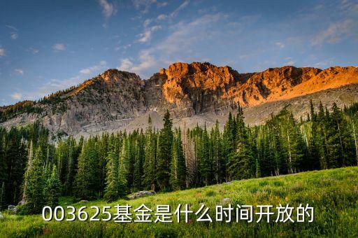 001815什么時(shí)候開(kāi)放，003625基金是什么時(shí)間開(kāi)放的