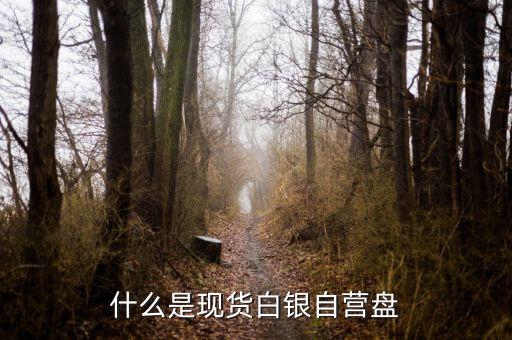 現(xiàn)貨盤是什么，國際盤現(xiàn)貨是什么意思