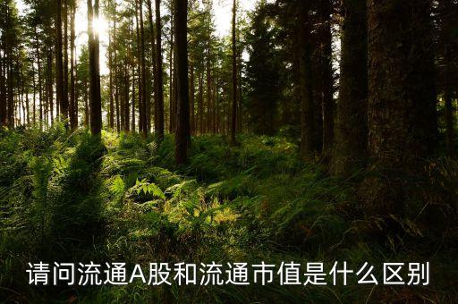 a股流通市值是什么，請(qǐng)問流通A股和流通市值是什么區(qū)別