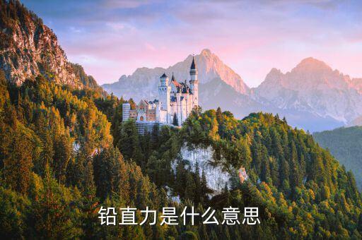 影子股什么意思，銷聲匿跡什么意思
