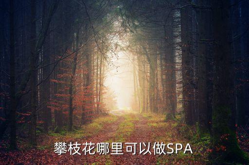 雅化集團(tuán)攀枝花恒泰做什么的，攀枝花哪里可以做SPA