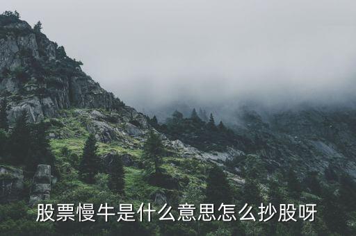 慢牛走勢是什么意思，股票慢牛是什么意思怎么抄股呀