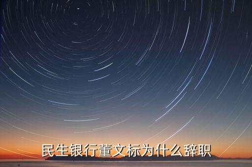 董文標(biāo)現(xiàn)在是什么職務(wù)，民生銀行董文標(biāo)為什么辭職