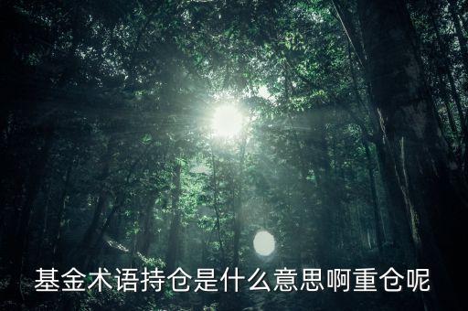 etf持倉是什么意思，基金術(shù)語持倉是什么意思啊重倉呢