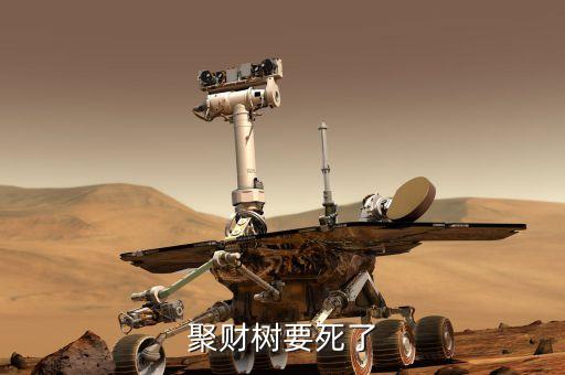 聚才樹(shù)能用什么肥，聚財(cái)樹(shù)要死了