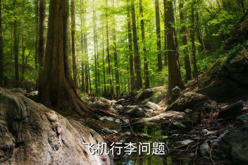 航空公司可以拒載什么傷人，憑什么飛機可以拒載