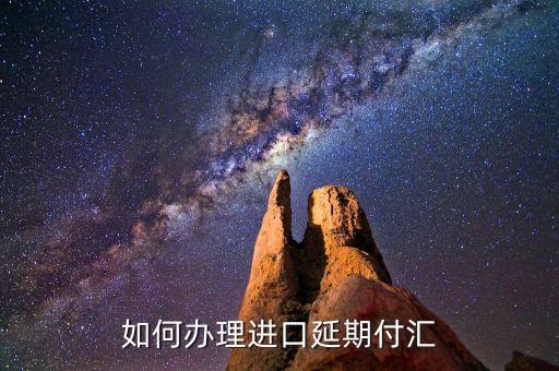 什么是進(jìn)口付匯，什么是跨境貿(mào)易人民幣結(jié)算啊
